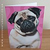 Pug Jazzy Greeting Card - Jazzy Rang